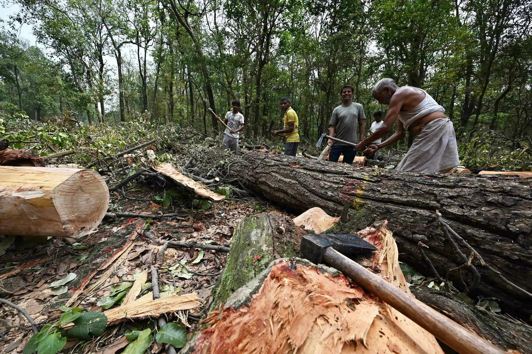 Community Victory: Uttarakhand CM Halts Controversial Saat Mod Tree Felling